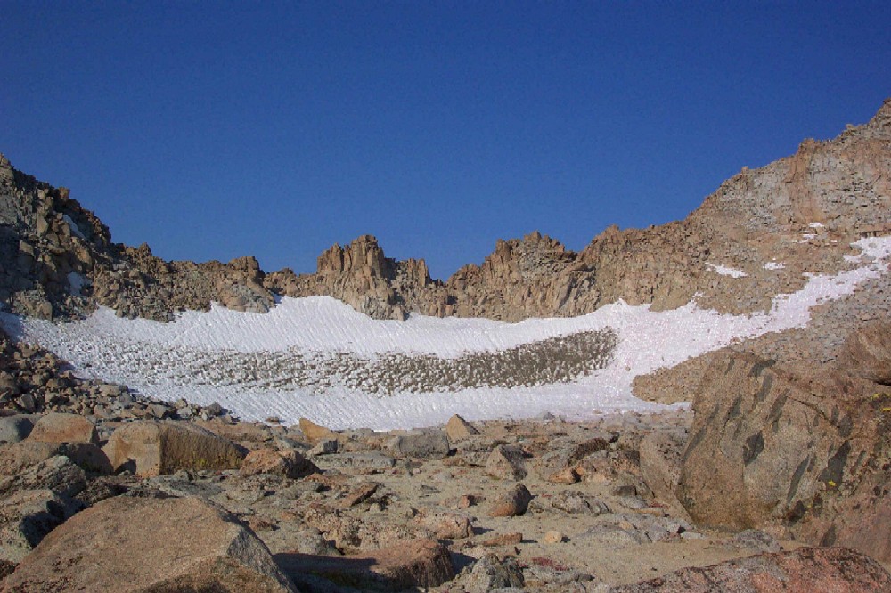 29-lamarck col.JPG (529454 bytes)
